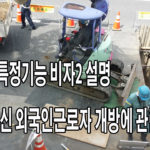 특정기능비자2호(가이드라인) 일부 설명