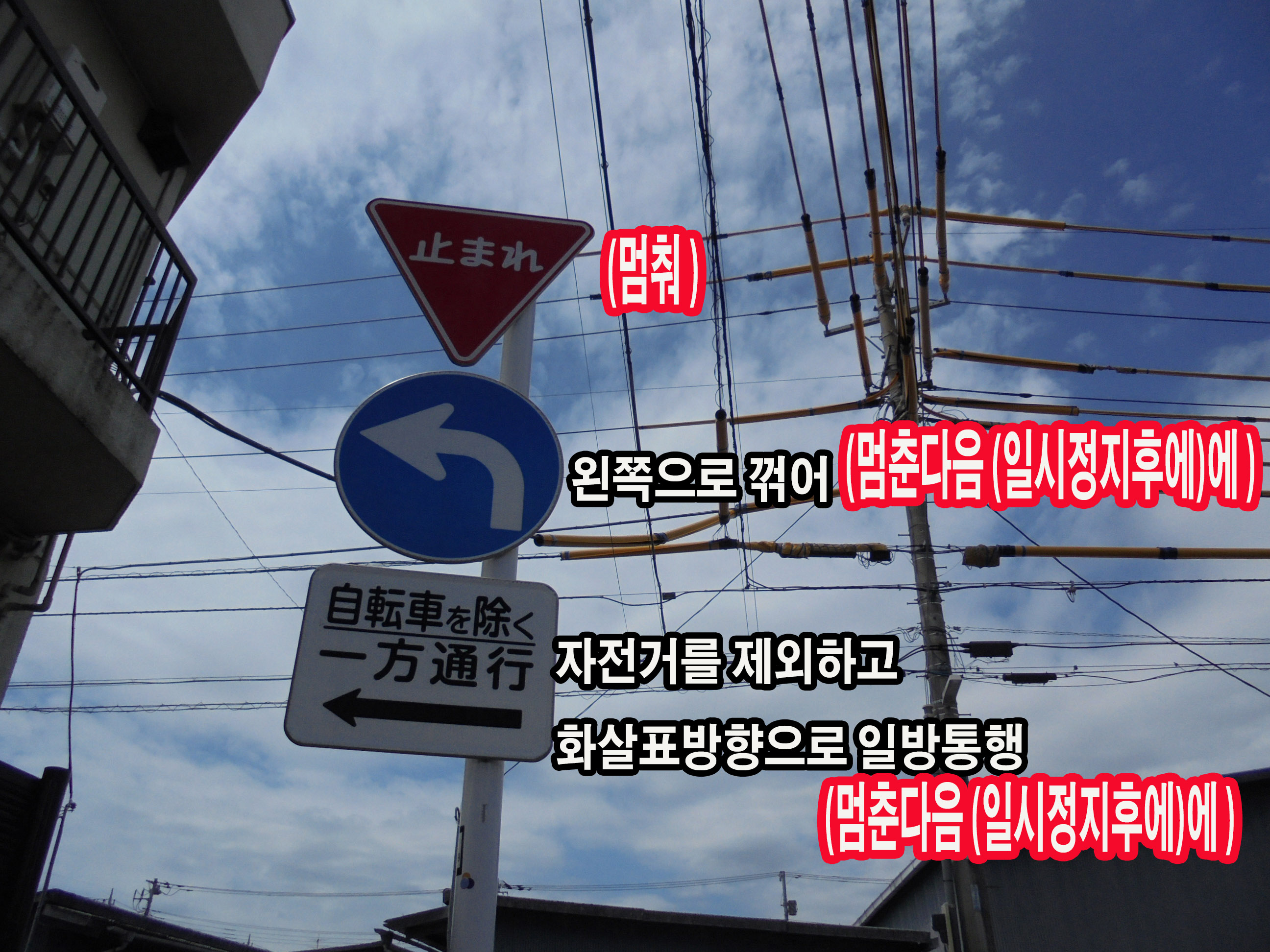일본에서 운전하기 일시정지 표지/ 현지단속당하는 렌트카관광객 끊이질 않아